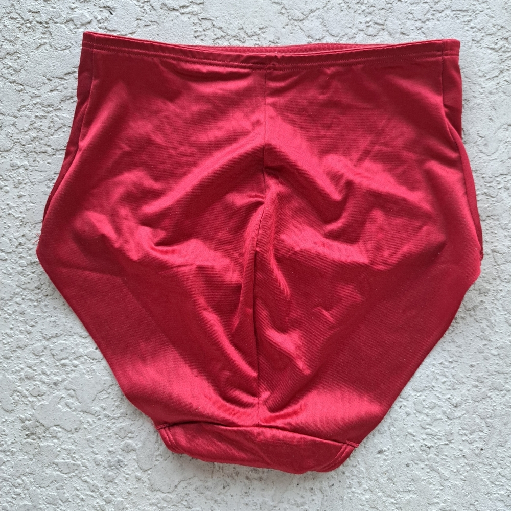 Ruby Ribbon Red High-Waisted Briefs - Picture 2 of 5